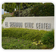 El Segundo Delivery Services